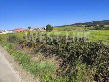 Terreno Agricola ou Rústico para Venda em Silveira