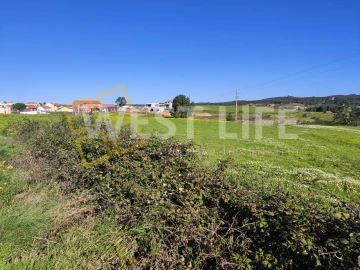 Terreno Agricola ou Rústico para Venda em Silveira