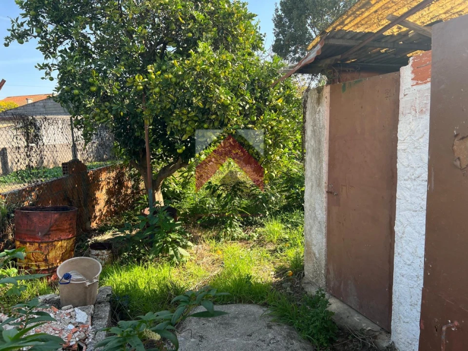 Moradia T3 para Venda em Ílhavo (São Salvador) Foto 17