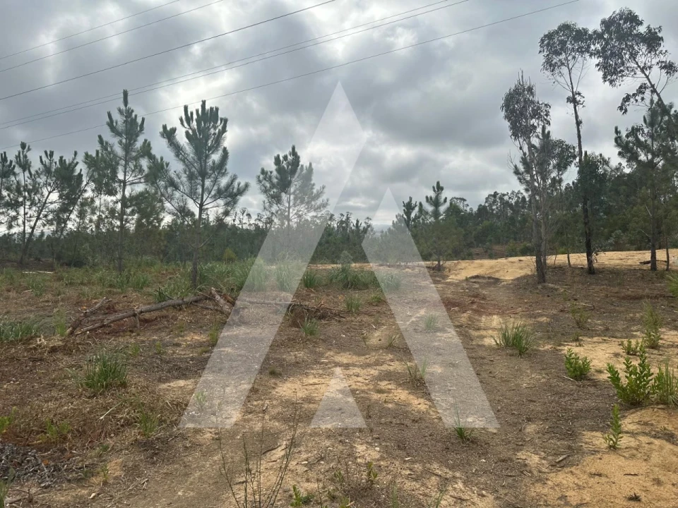 Terreno para Venda em Leiria, Pousos, Barreira e Cortes Foto 3