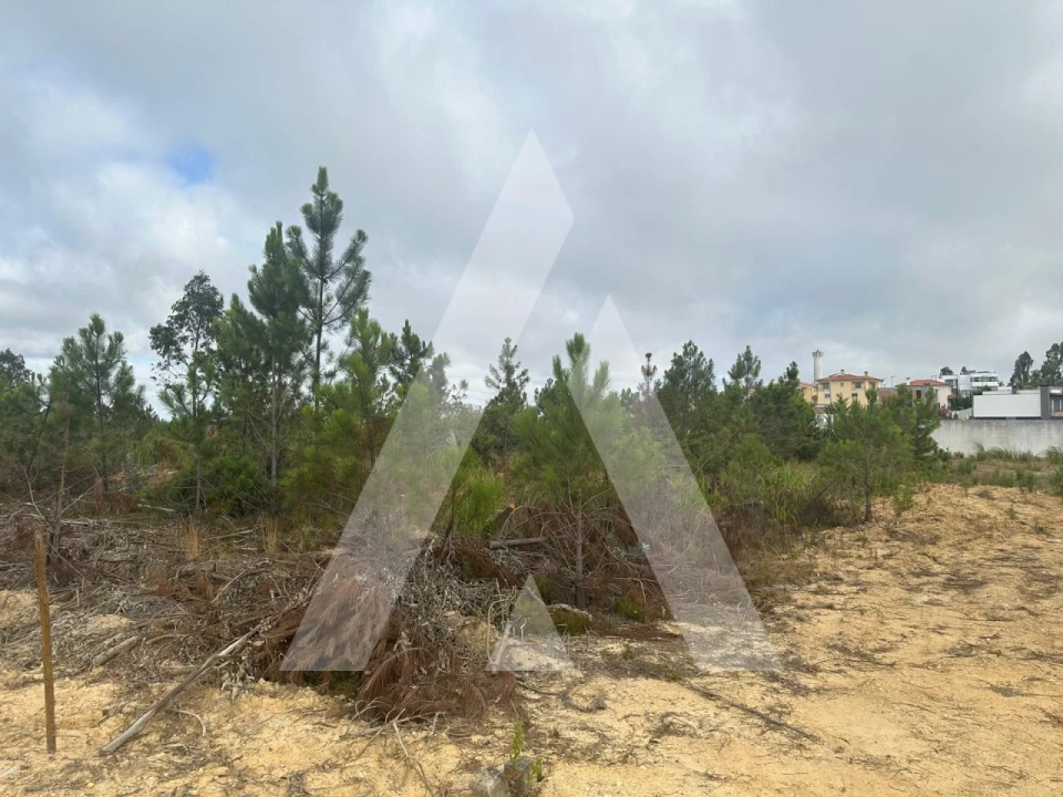 Terreno para Venda em Leiria, Pousos, Barreira e Cortes Foto 6