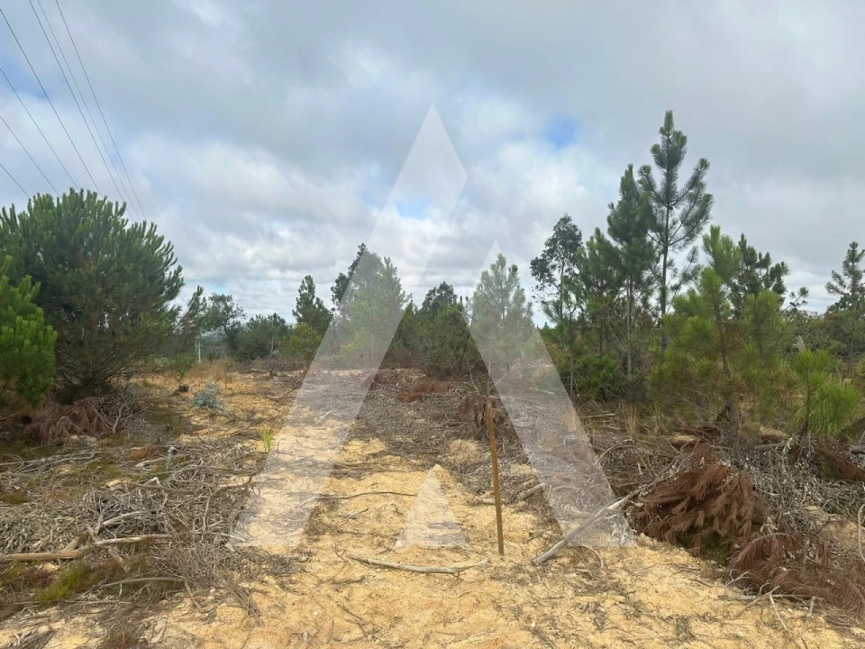 Terreno para Venda em Leiria, Pousos, Barreira e Cortes Foto 9