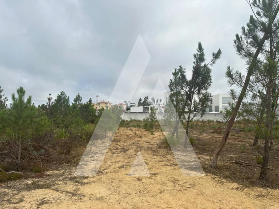 Terreno para Venda em Leiria, Pousos, Barreira e Cortes Foto 10