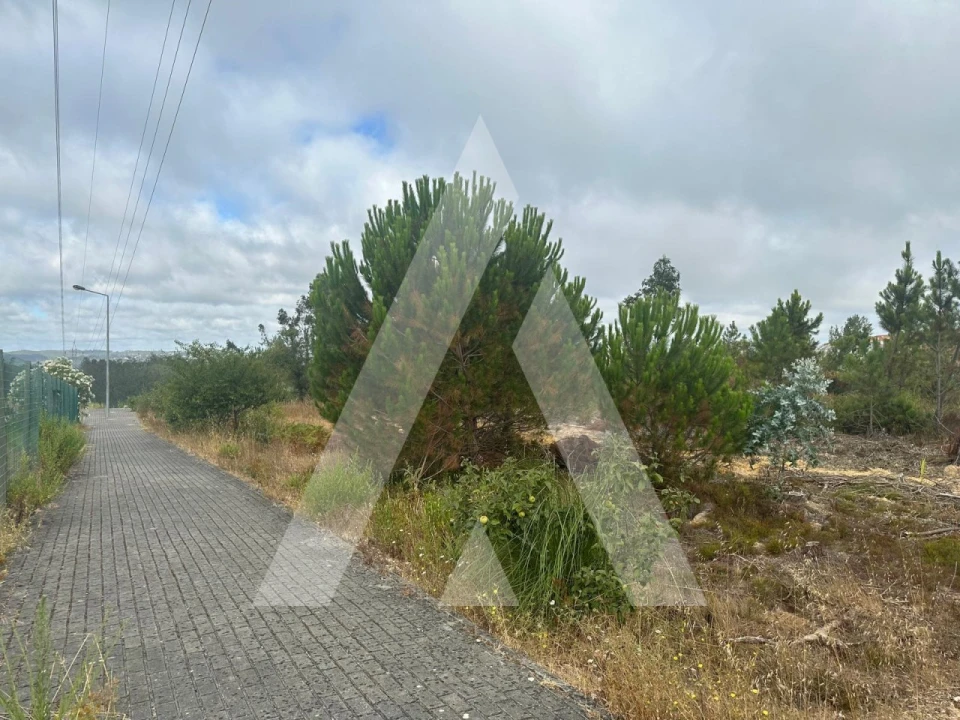 Terreno para Venda em Leiria, Pousos, Barreira e Cortes Foto 12