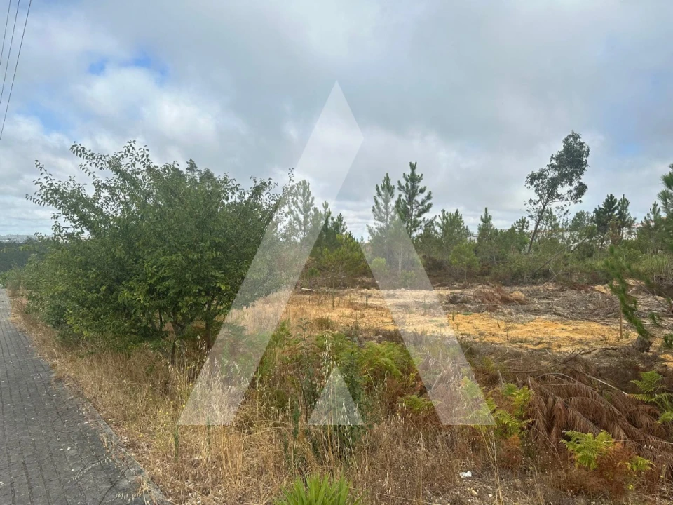 Terreno para Venda em Leiria, Pousos, Barreira e Cortes Foto 13
