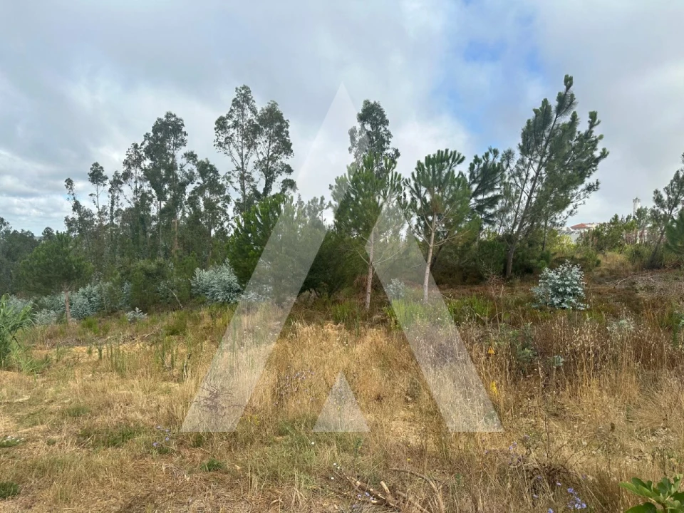 Terreno para Venda em Leiria, Pousos, Barreira e Cortes Foto 16
