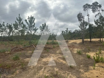 Terreno para Venda em Leiria, Pousos, Barreira e Cortes