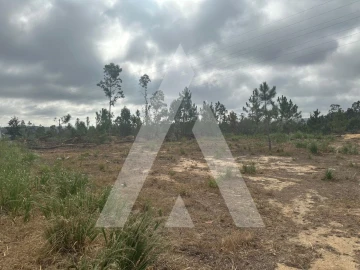 Terreno para Venda em Leiria, Pousos, Barreira e Cortes