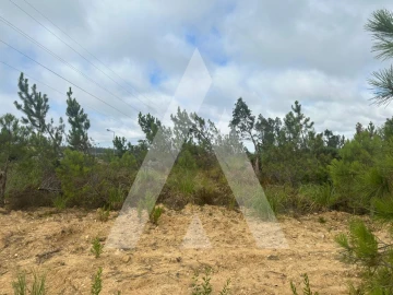 Terreno para Venda em Leiria, Pousos, Barreira e Cortes