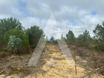 Terreno para Venda em Leiria, Pousos, Barreira e Cortes