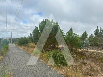 Terreno para Venda em Leiria, Pousos, Barreira e Cortes