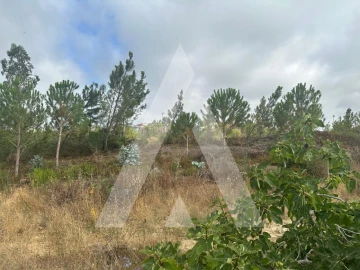 Terreno para Venda em Leiria, Pousos, Barreira e Cortes