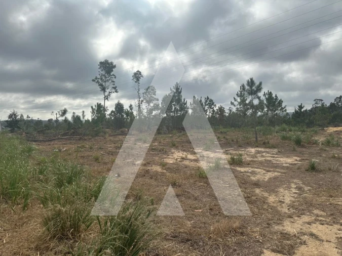 Terreno para Venda em Leiria, Pousos, Barreira e Cortes Foto 4