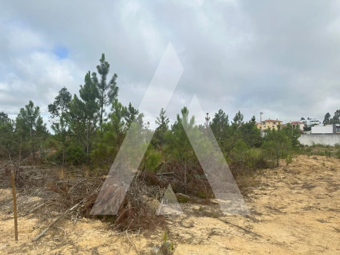 Terreno para Venda em Leiria, Pousos, Barreira e Cortes Foto 6