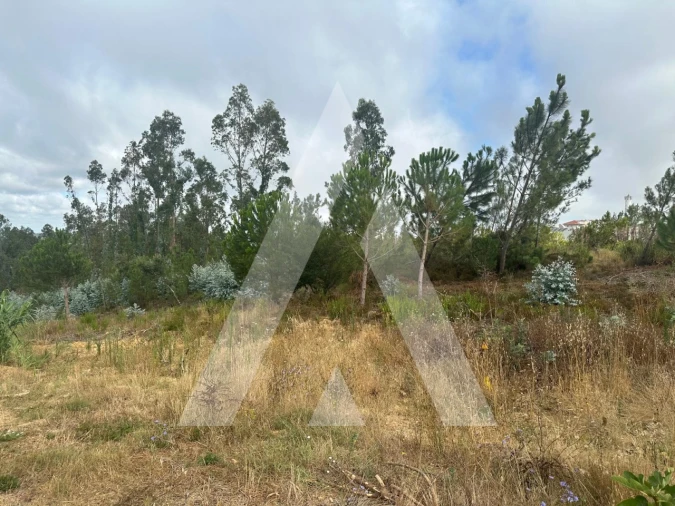 Terreno para Venda em Leiria, Pousos, Barreira e Cortes Foto 16