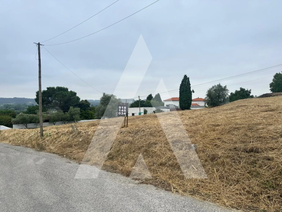 Terreno para Venda em Tamengos, Aguim e Óis do Bairro Foto 1