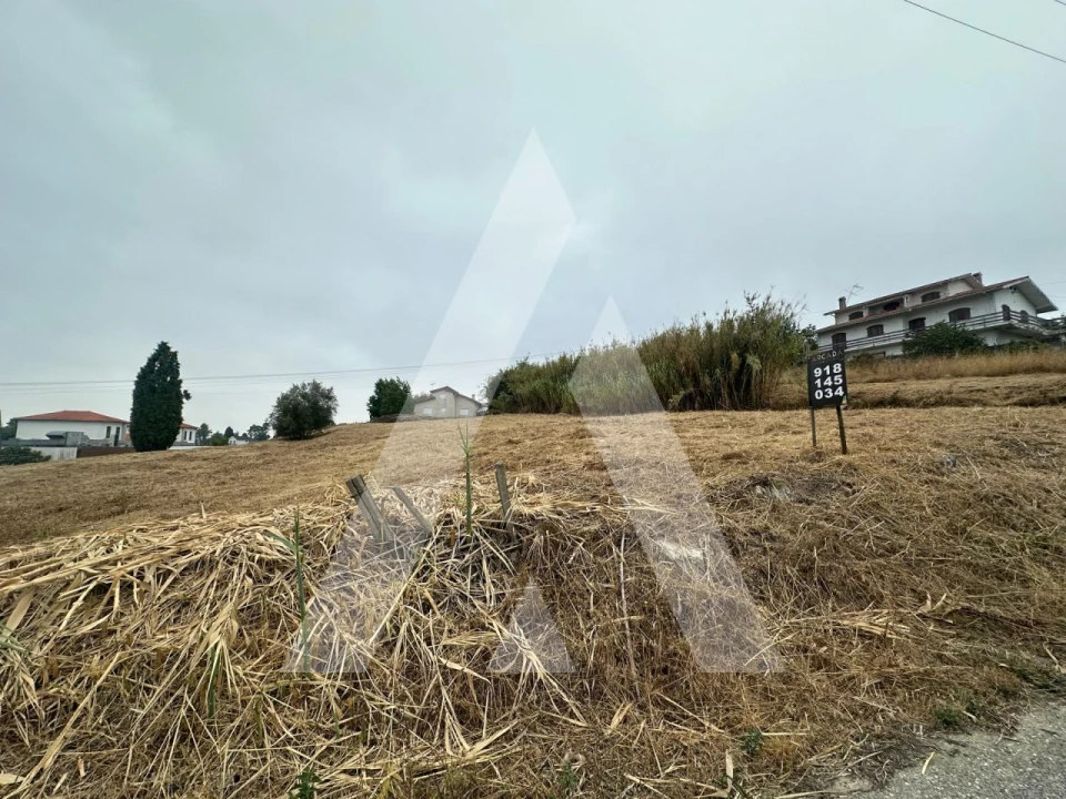 Terreno para Venda em Tamengos, Aguim e Óis do Bairro Foto 2