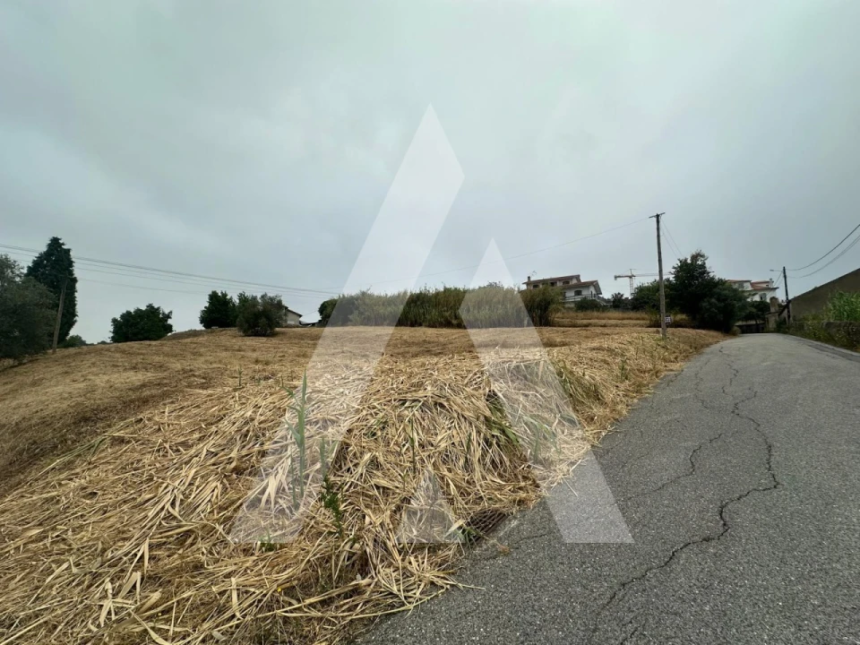Terreno para Venda em Tamengos, Aguim e Óis do Bairro Foto 3