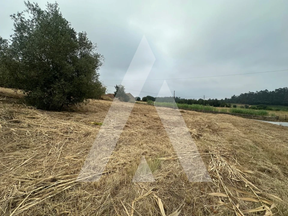 Terreno para Venda em Tamengos, Aguim e Óis do Bairro Foto 5