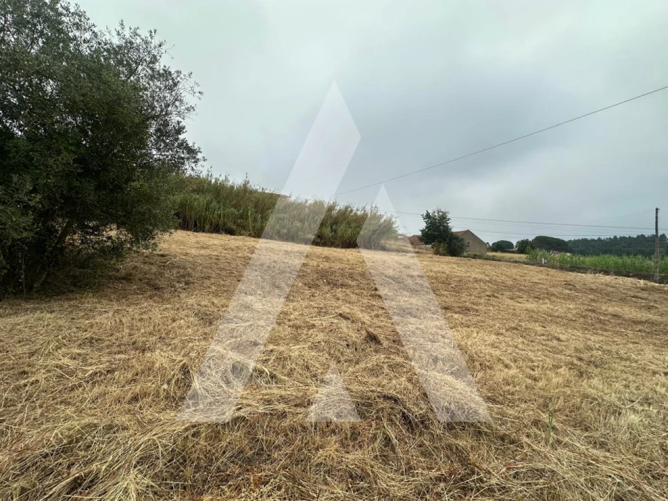 Terreno para Venda em Tamengos, Aguim e Óis do Bairro Foto 6