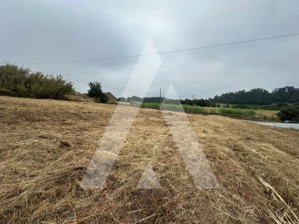 Terreno para Venda em Tamengos, Aguim e Óis do Bairro Foto 8