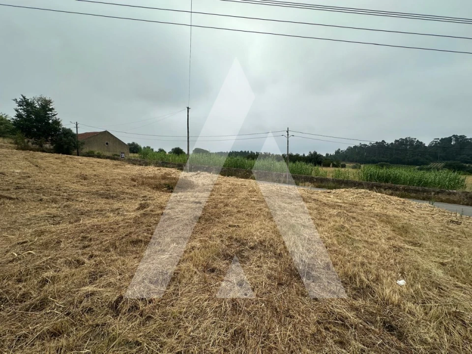 Terreno para Venda em Tamengos, Aguim e Óis do Bairro Foto 9