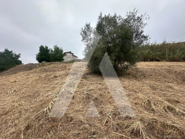 Terreno para Venda em Tamengos, Aguim e Óis do Bairro