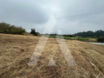Terreno para Venda em Tamengos, Aguim e Óis do Bairro