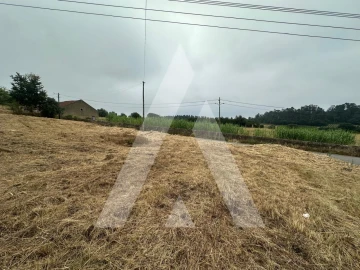Terreno para Venda em Tamengos, Aguim e Óis do Bairro