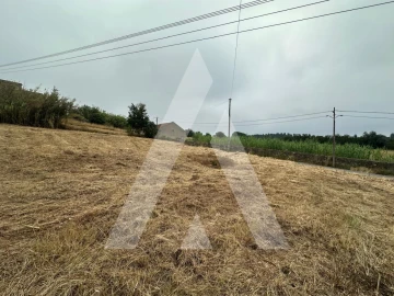 Terreno para Venda em Tamengos, Aguim e Óis do Bairro