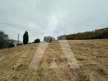 Terreno para Venda em Tamengos, Aguim e Óis do Bairro