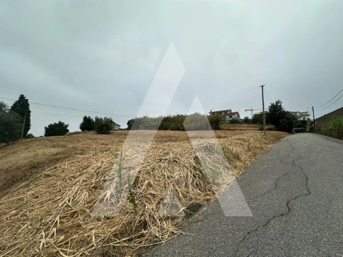 Terreno para Venda em Tamengos, Aguim e Óis do Bairro Foto 3