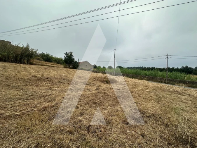 Terreno para Venda em Tamengos, Aguim e Óis do Bairro Foto 10