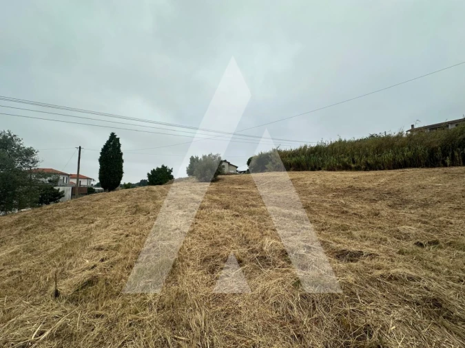 Terreno para Venda em Tamengos, Aguim e Óis do Bairro Foto 11