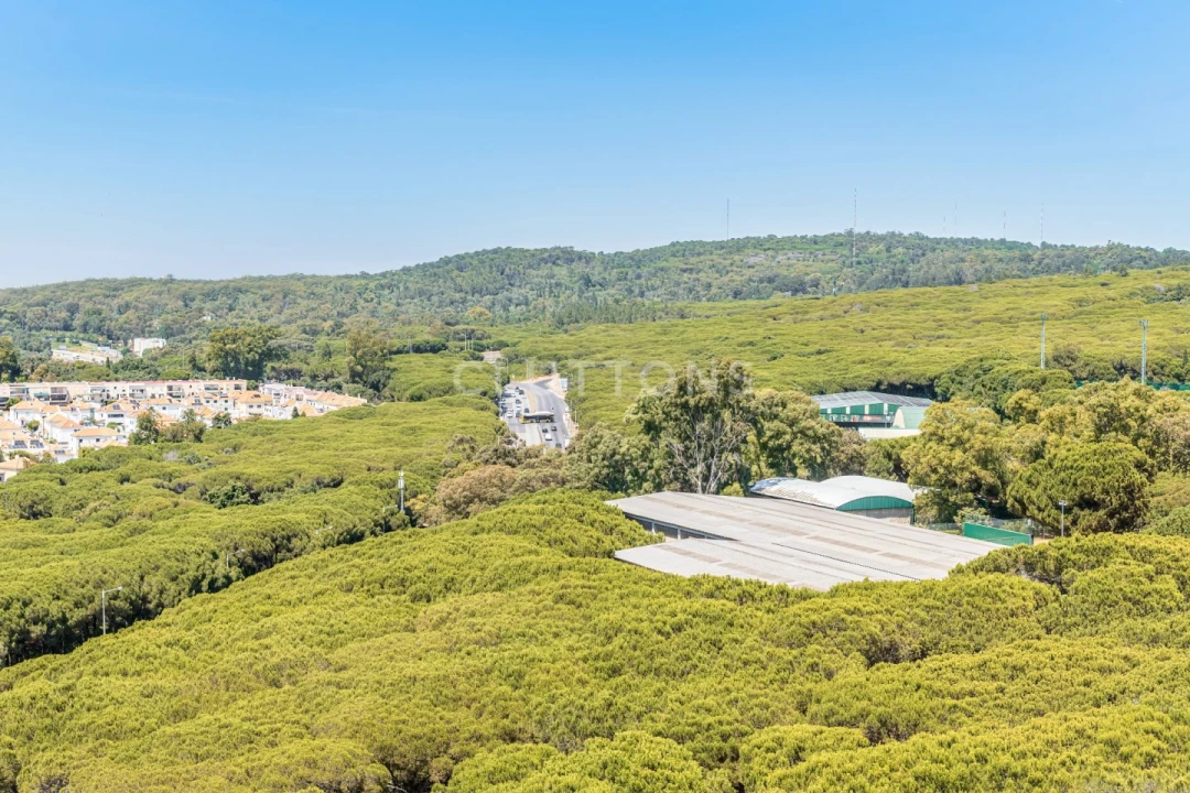Apartamento T4 para Venda em Belém Foto 6