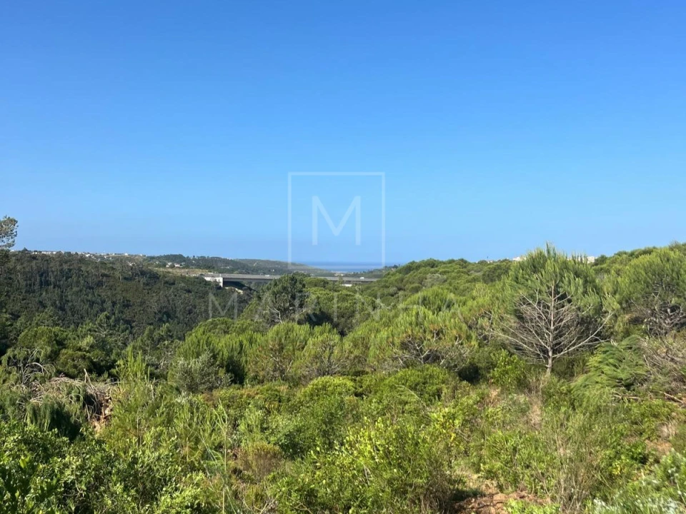 Terreno para Venda em Mafra Foto 1