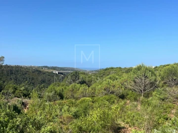 Terreno para Venda em Mafra