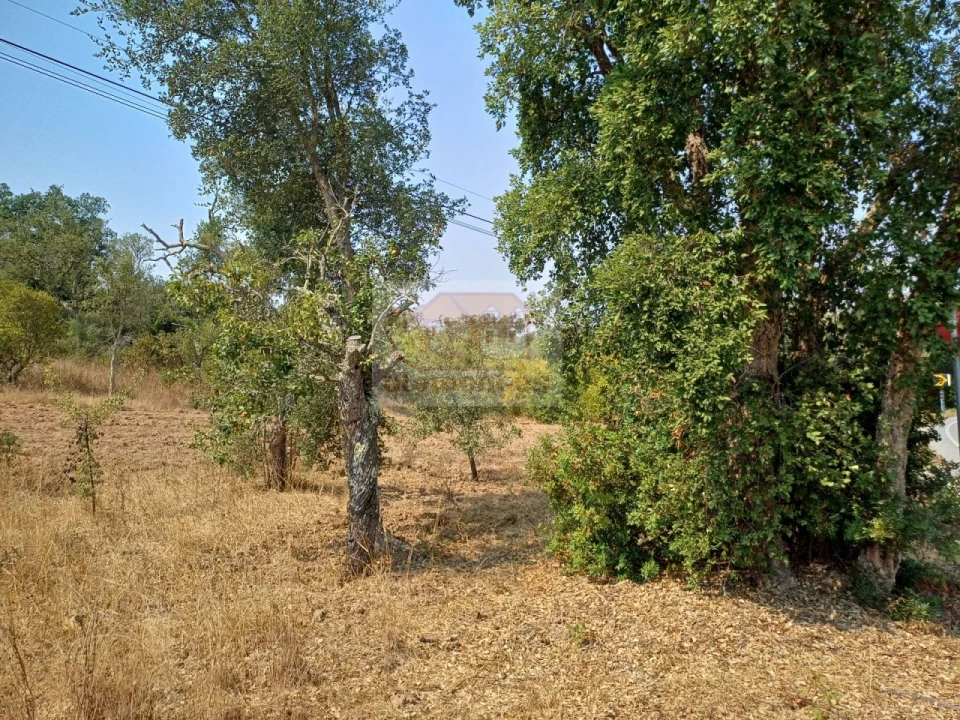 Moradia T2 para Venda em Melides Foto 24