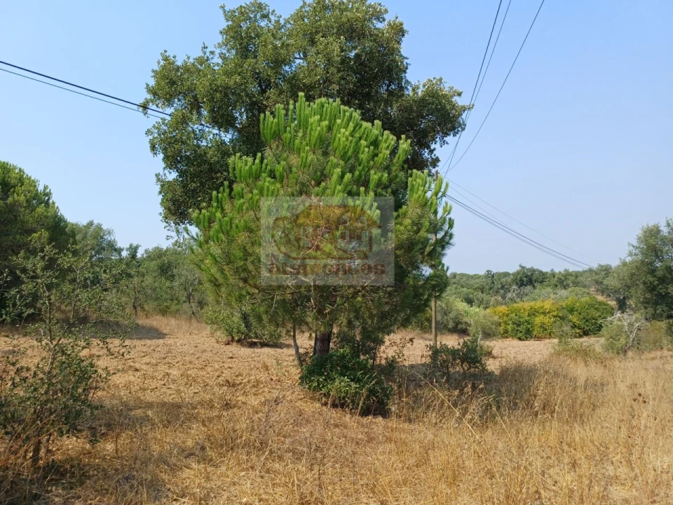 Moradia T2 para Venda em Melides Foto 26