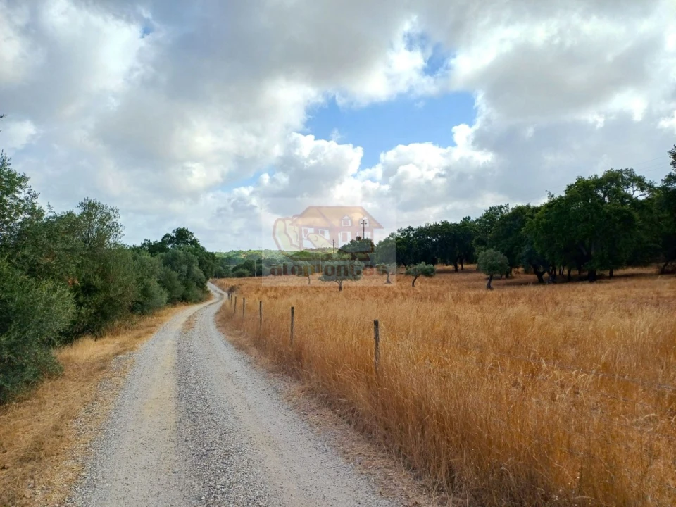 Terreno Agricola ou Rústico para Venda em Melides Foto 8