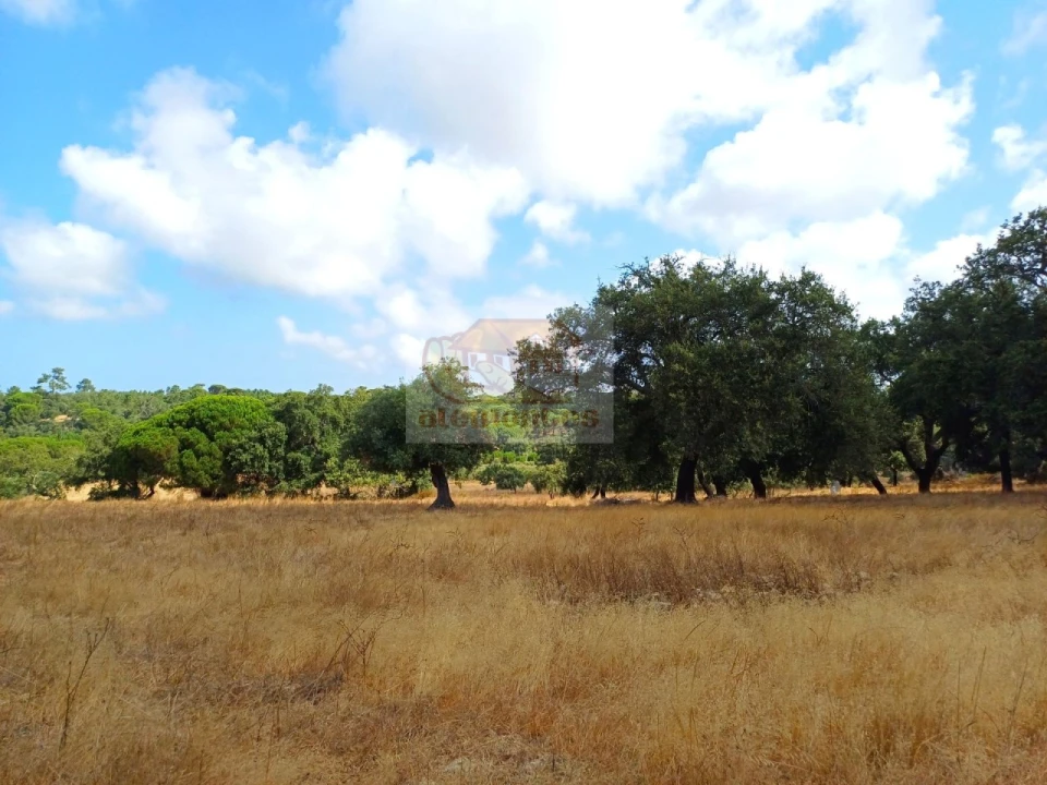 Terreno Agricola ou Rústico para Venda em Melides Foto 15