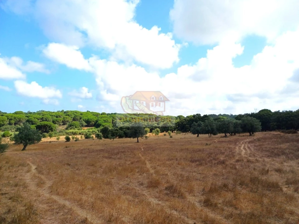 Terreno Agricola ou Rústico para Venda em Melides Foto 19