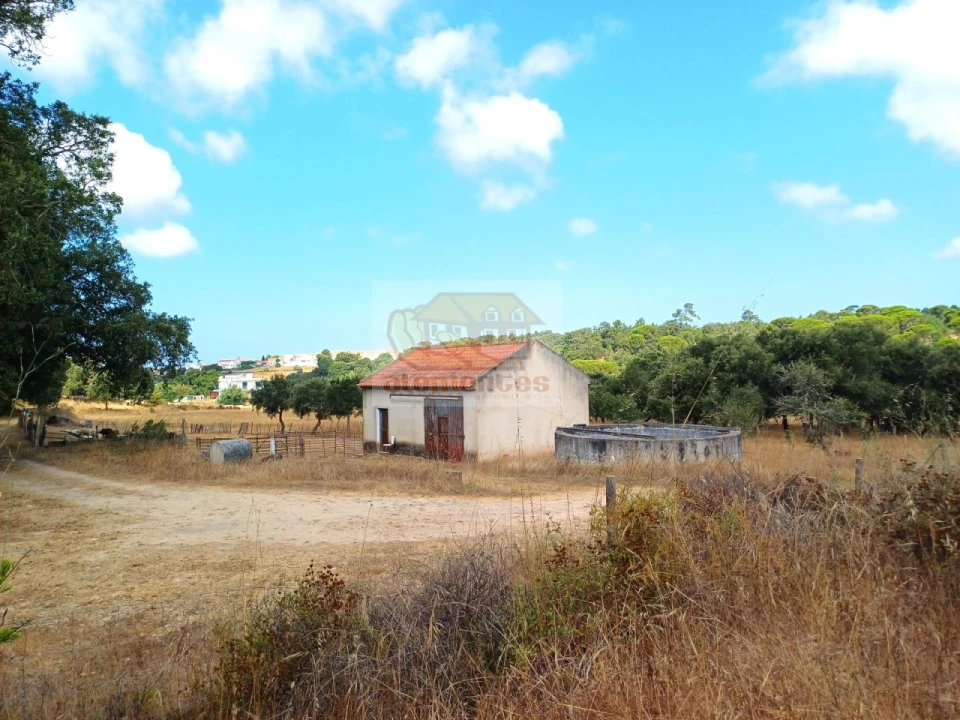 Terreno Agricola ou Rústico para Venda em Melides Foto 5