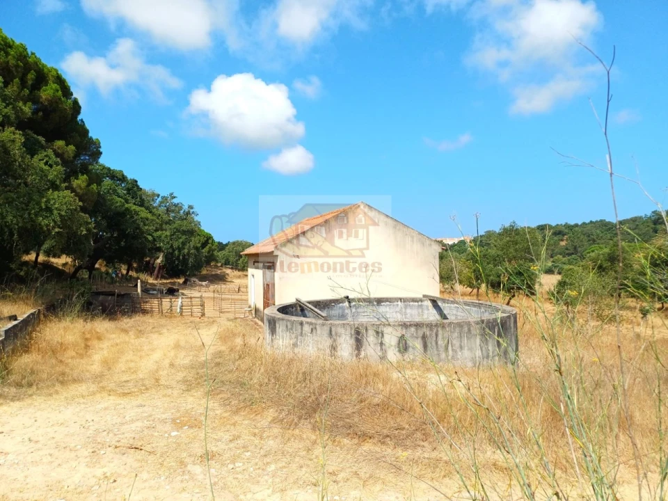 Terreno Agricola ou Rústico para Venda em Melides Foto 6