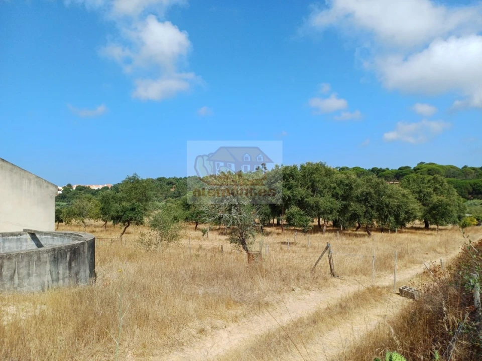 Terreno Agricola ou Rústico para Venda em Melides Foto 7
