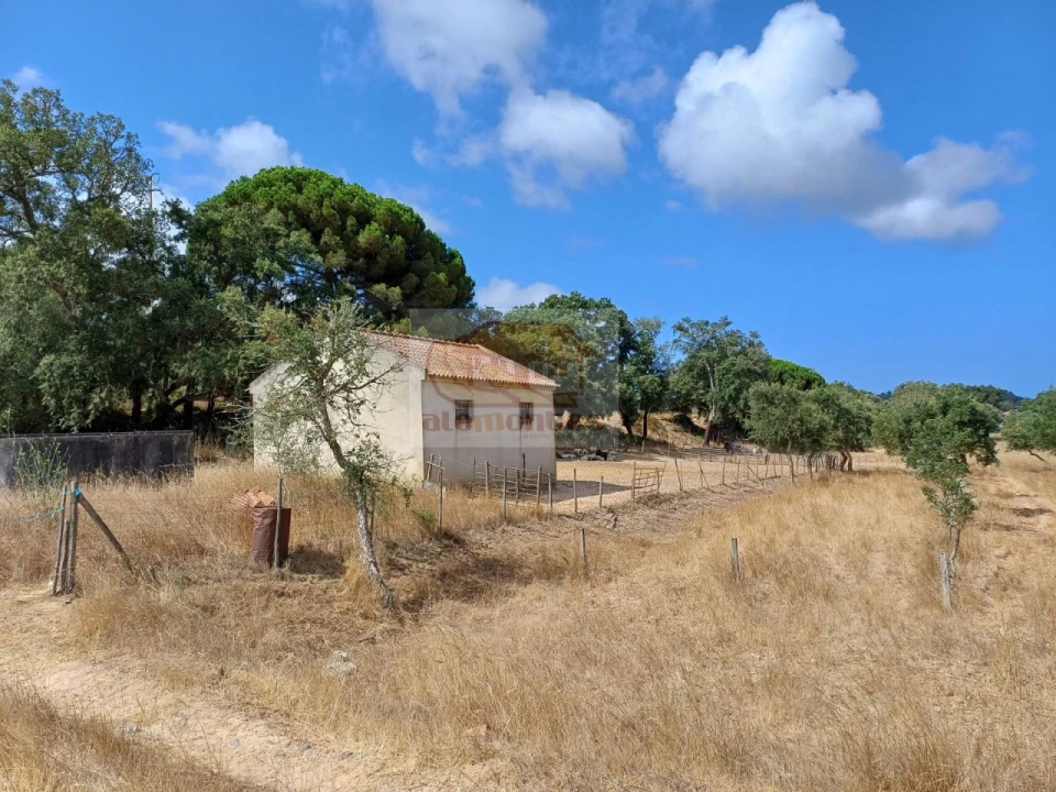 Terreno Agricola ou Rústico para Venda em Melides Foto 1