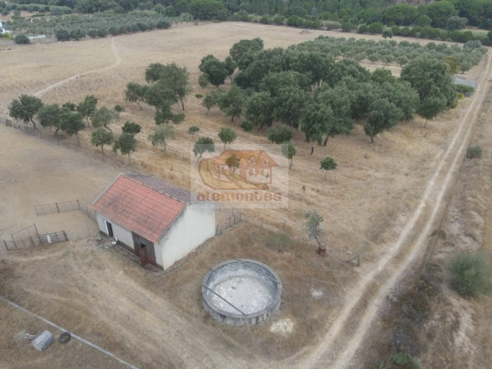 Terreno Agricola ou Rústico para Venda em Melides Foto 3
