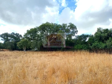 Terreno Agricola ou Rústico para Venda em Melides