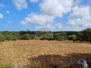 Terreno Agricola ou Rústico para Venda em Melides