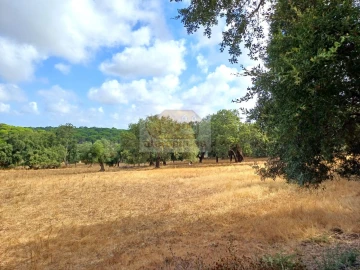 Terreno Agricola ou Rústico para Venda em Melides